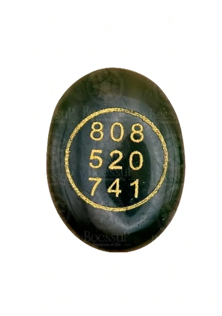 zibu coin 1.webp