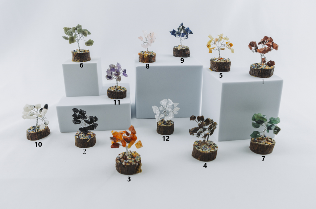 Arbre de Vie (Tourmaline)